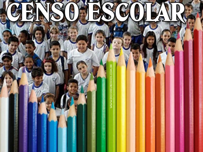 Censo Escolar 2013 2