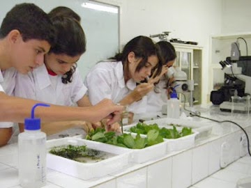 Olimpiadas ciêntifica