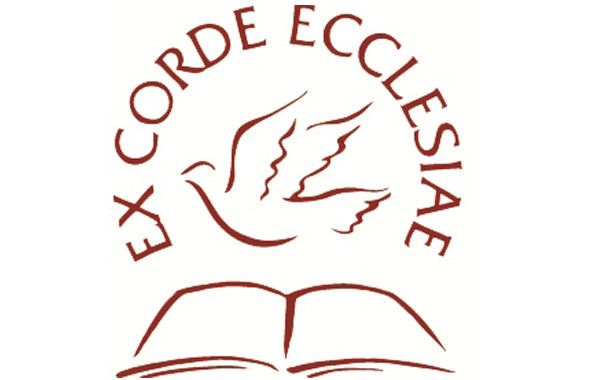 EX corde
