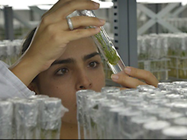 559fb2ac41ed47305791020ceda98c62b1d8387b281f9